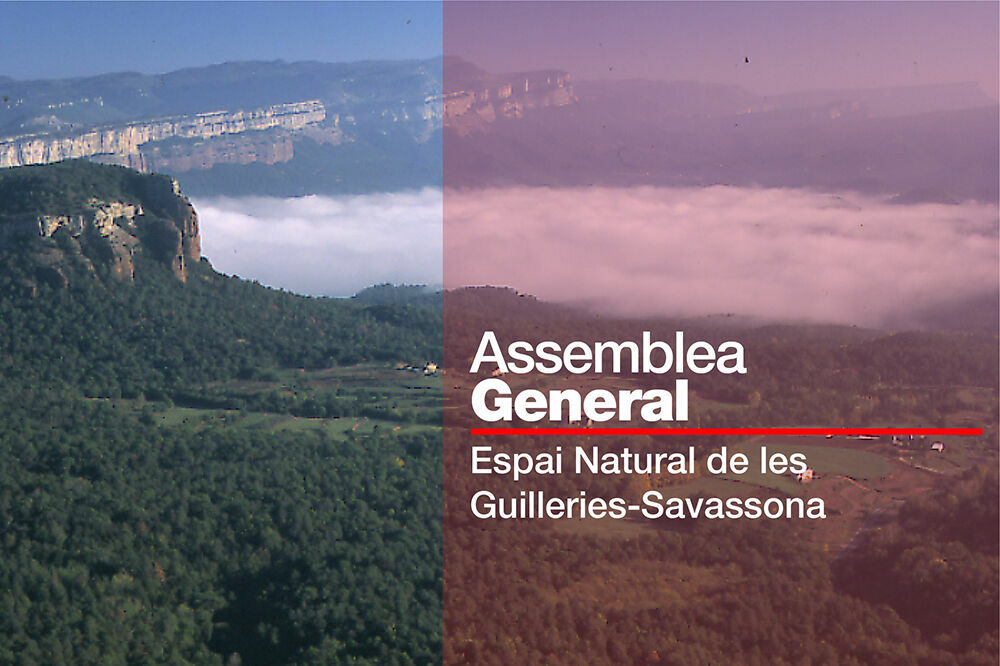 Assemblea General del Consorci de l'Espai Natural de les Guilleries-Savassona 