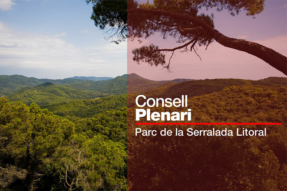 Consell Plenari del Consorci del Parc de la Serralada Litoral