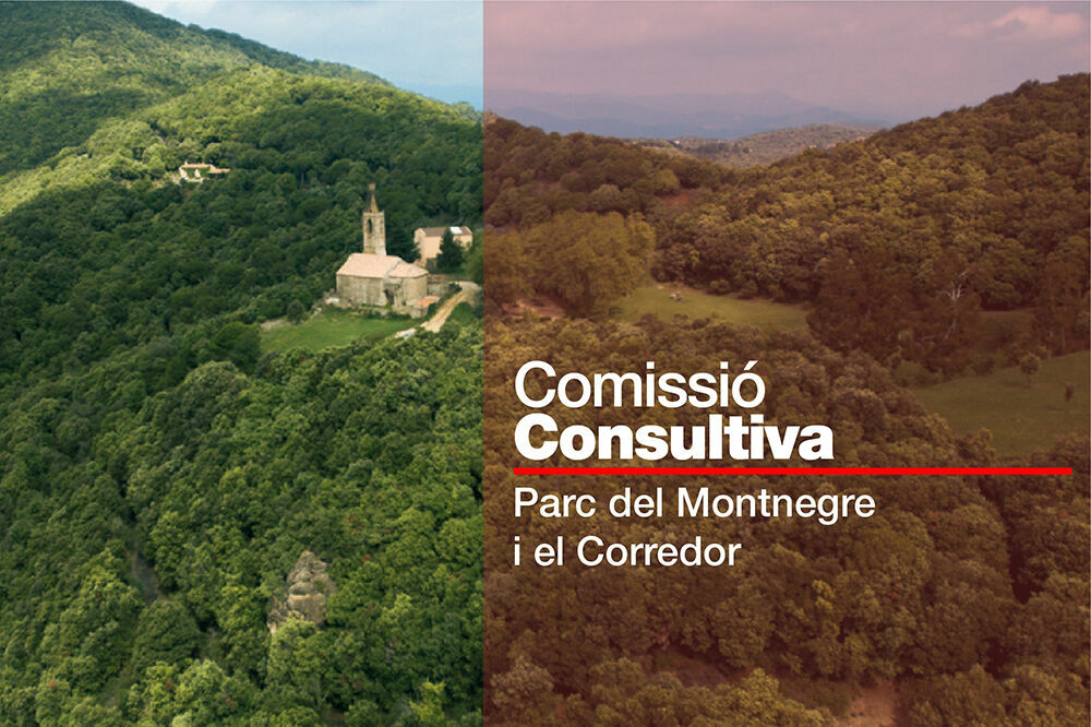 Comissió Consultiva del Parc del Montnegre i el Corredor