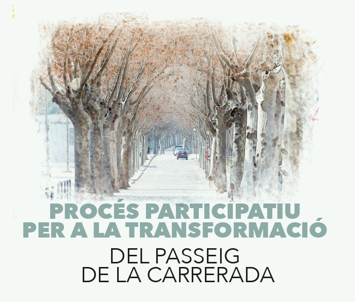 Procés participatiu transformació Passeig de la Carrerada