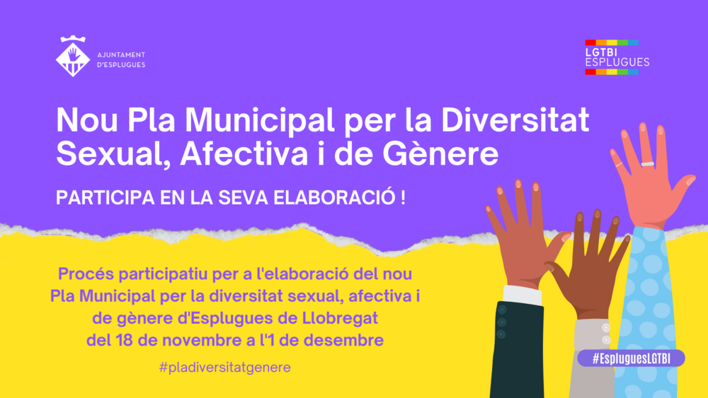 Pla Municipal per la Diversitat Sexual, Afectiva i de Gènere